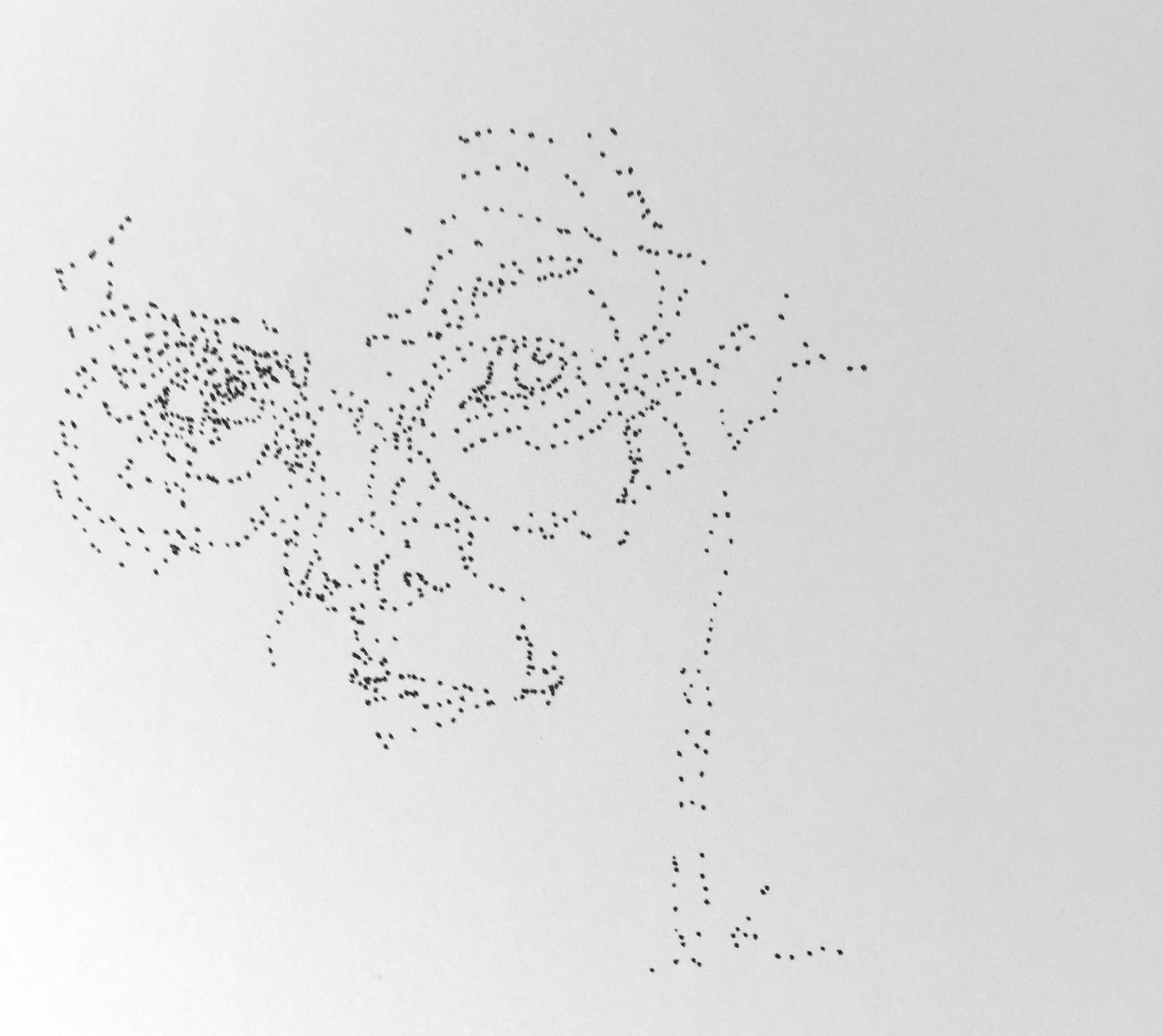 dessin
